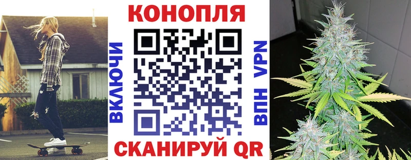 Канабис семена  Магас 